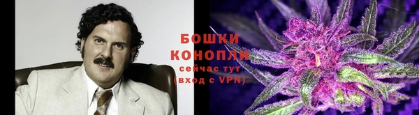 spice Алексеевка